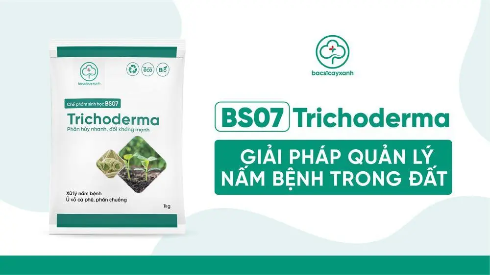 BS07 -Trichderma xử lí đất trồng